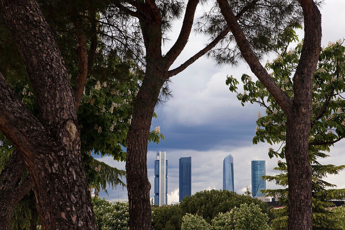 Four towers business area  CTBA seen through the trees  Madrid  Spain