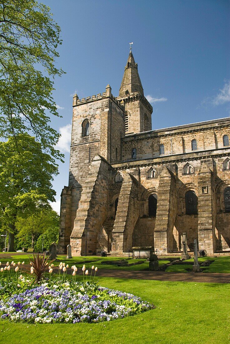 Dumfermline Abbey, Dunfermline, Fife, Scotland, UK