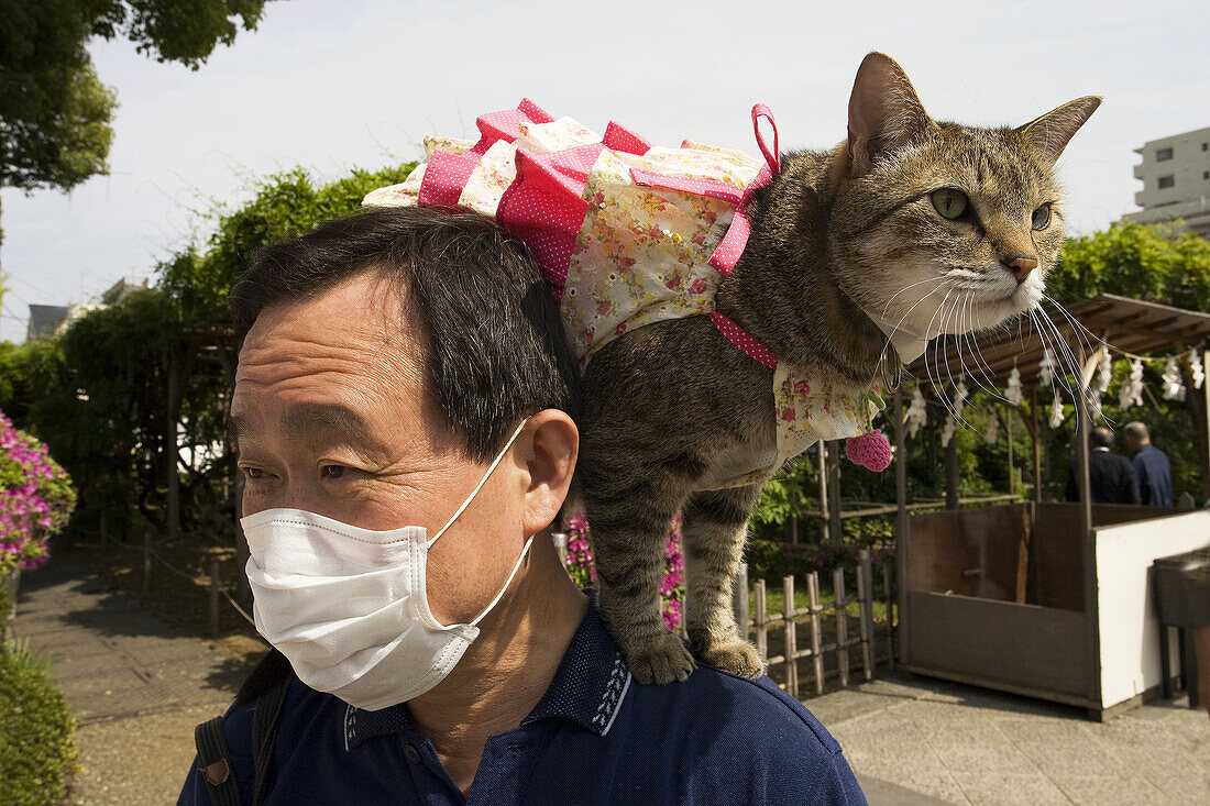 Man and cat, Tokyo, Japan (Spring 2009)