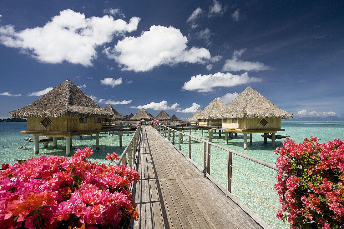 Huts at the InterContinental Resort, Bora Bora island, Society Islands, French Polynesia (May 2009)