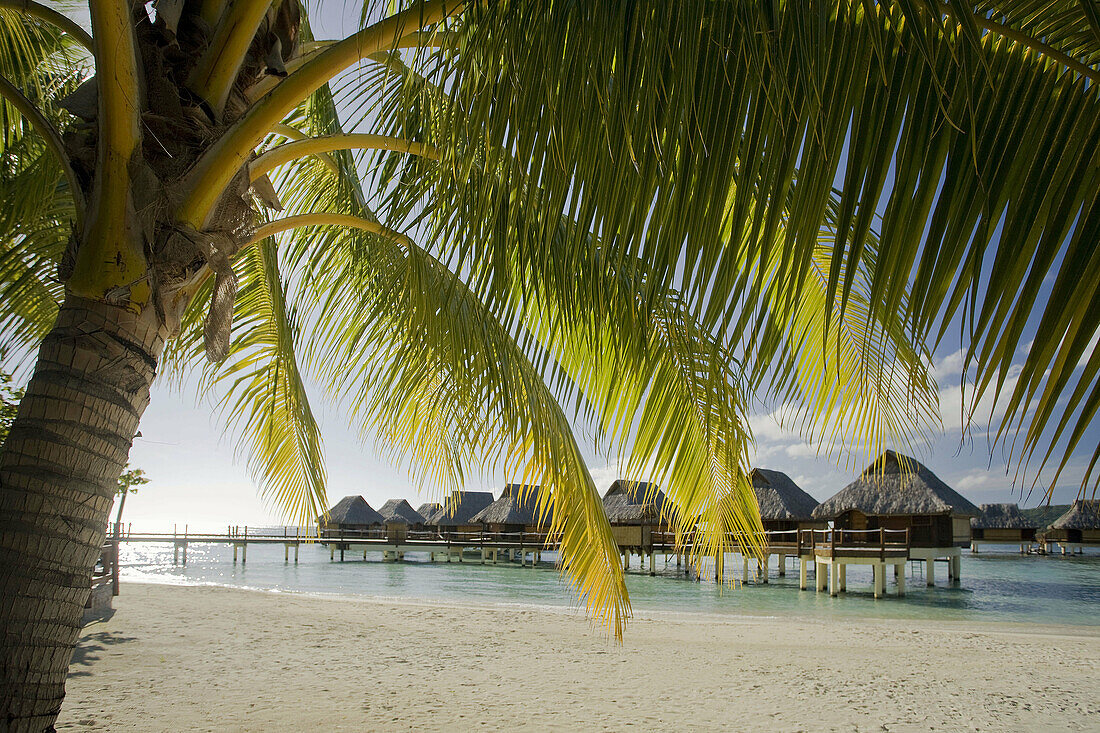 Huts, Bora Bora island, Society Islands, French Polynesia (May 2009)