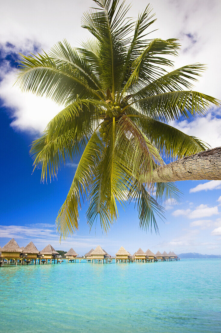 Huts, Bora Bora island, Society Islands, French Polynesia (May 2009)