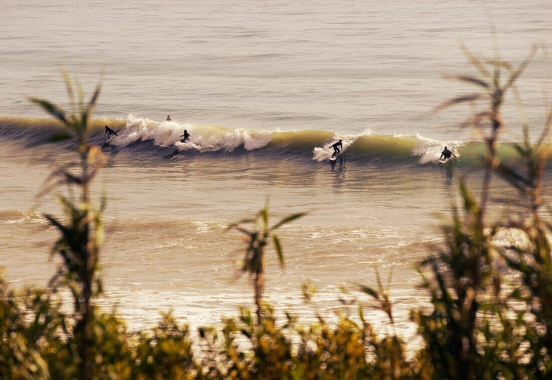 Aussen, Brandung, Draussen, Leute, Meer, Ozean, Sport, Strand, Strände, Surfen, Surfer, Wasser, Welle, Wellen, A75-1073208, agefotostock