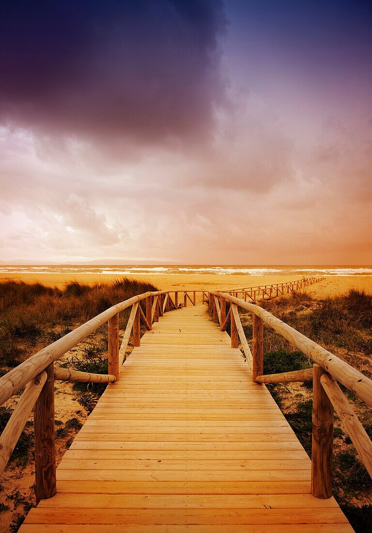 Beach, Landscape, Outdoors, Pathway, Wood, Wooden, A75-1073205, agefotostock