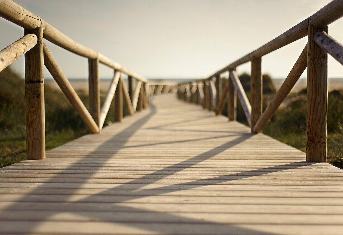 Aussen, Draussen, Holz, Hölzern, Landschaft, Landschaften, Pfad, Strand, Strände, Wald, A75-1073219, agefotostock