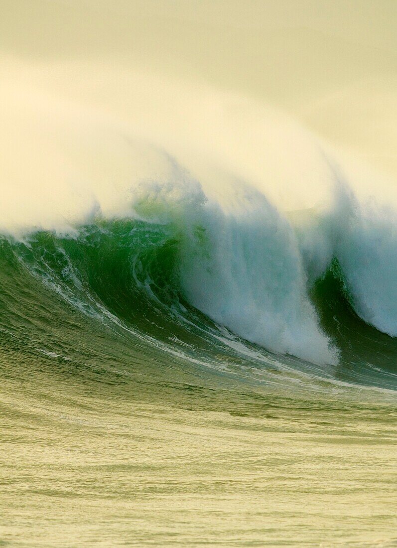 Andalusia, Atlantic, Cadiz, Costa de la Luz, Europe, Spain, Tarifa, water, wave, A75-1139446, AGEFOTOSTOCK