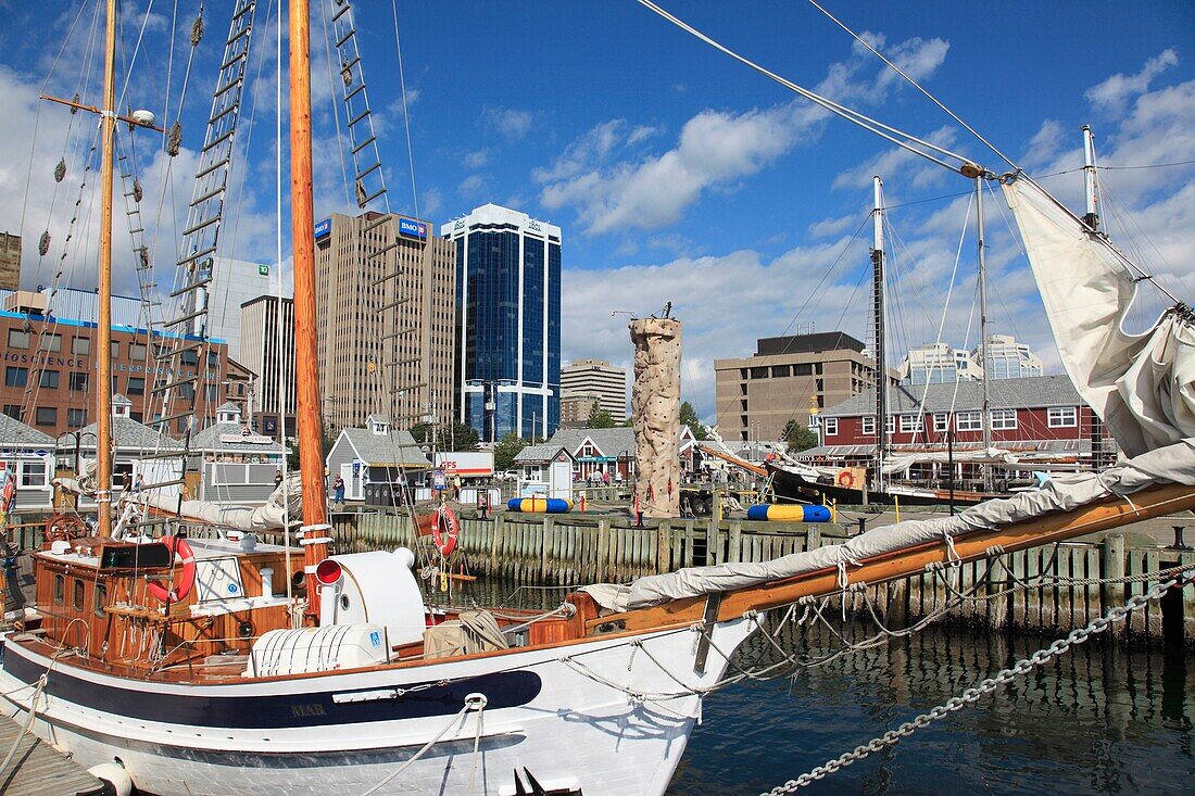 Sailing boat mooring at the Harbour Walk of Halifax, Nova Scotia, Canada, North America.