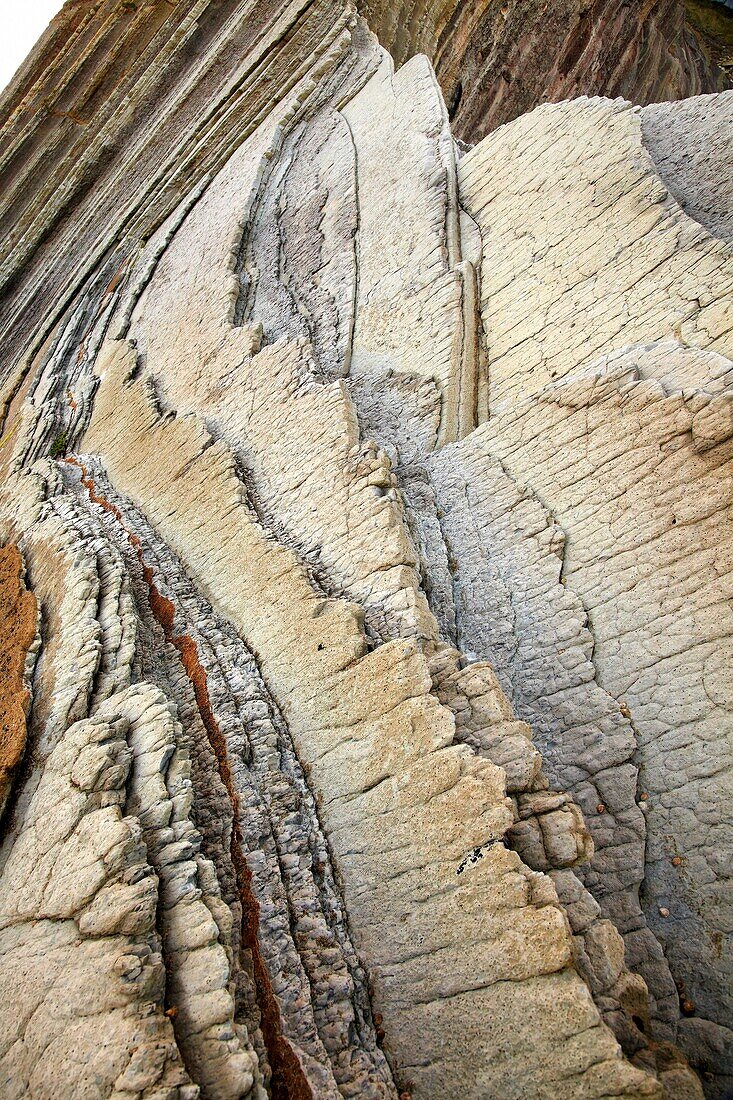 Flysch, Algorri, Zumaia, Gipuzkoa, Euskadi, Spanien