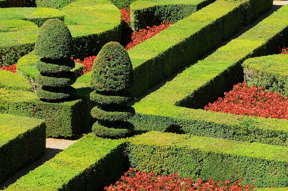 Gardens of the Château de Villandry, Indre-et-Loire, France