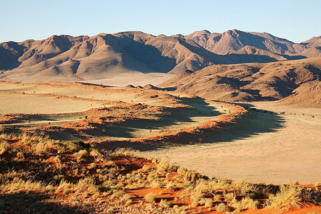 Namibia - In the morning at the edge of the Namib Desert in the area of the exclusive Wolwedans safari camps NamibRand Nature Reserve, Namibia