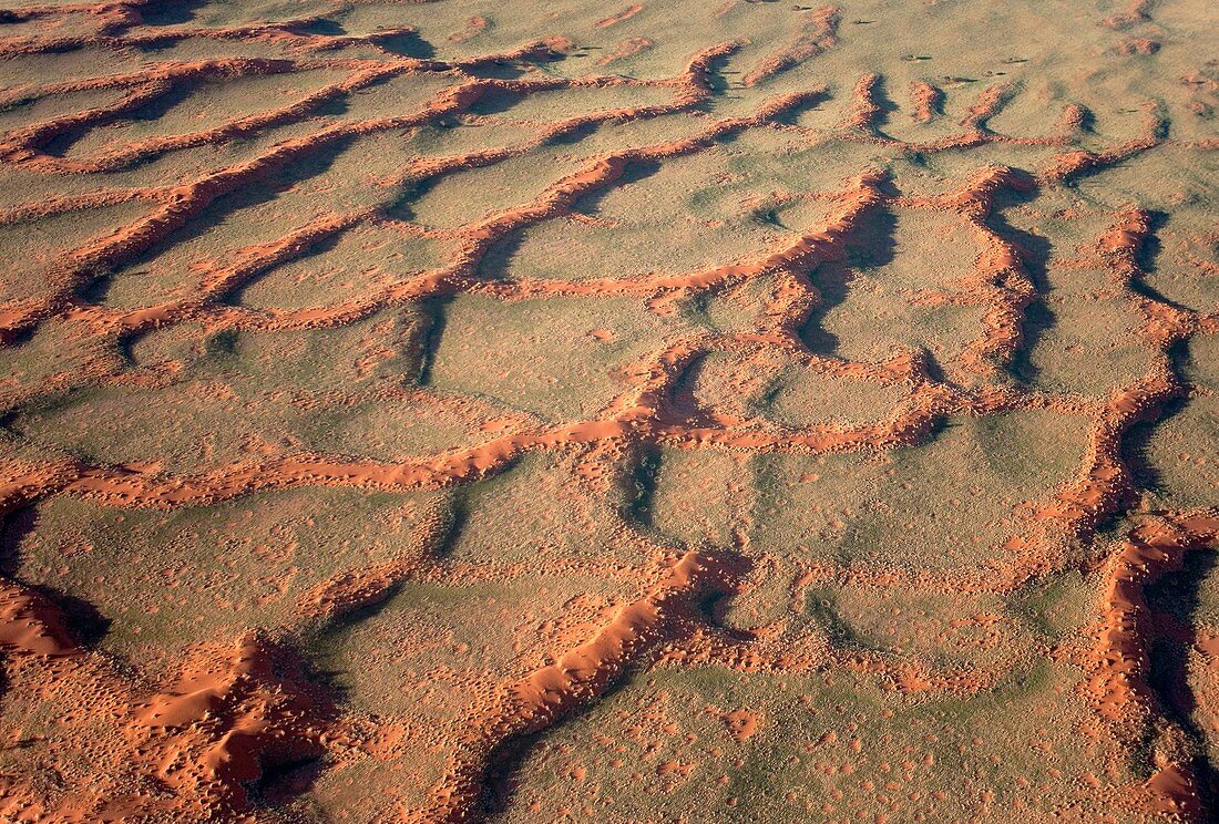 Namibia - Aerial view of grass-grown sand dunes at the edge of the Namib Desert The so-calledFairy Circles,  are circular patches without any vegetation which according to recent scientific studies are caused by the Harvester Termite Microhodotermes via