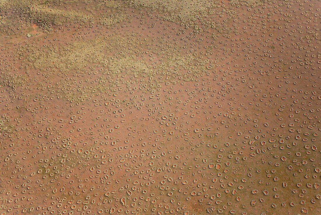 Namibia - Aerial view of the so-calledFairy Circles', which are circular patches without any vegetation which according to recent scientific studies are caused by the Harvester Termite Microhodotermes viator At the edge of the Namib Desert In March du