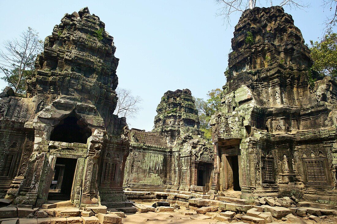Ta Prohm temple. Angkor. Cambodia.