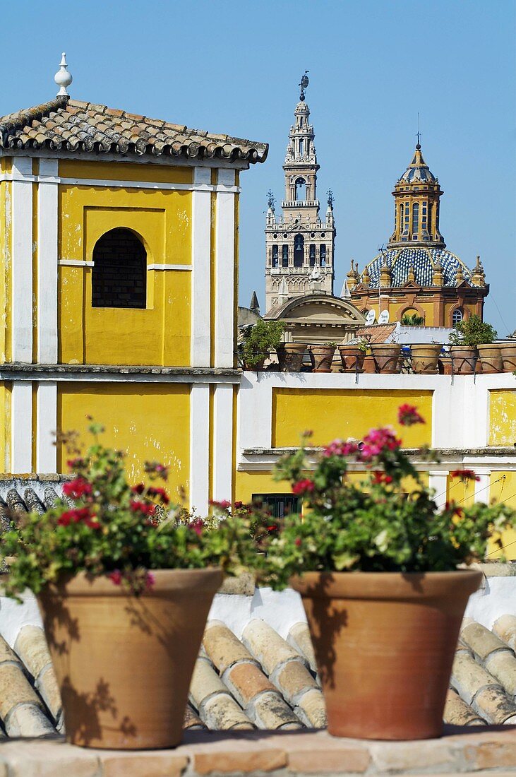 Seville. Andalusia, Spain