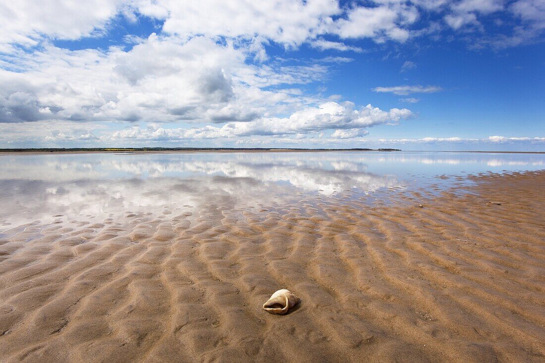 Bob Halls Sand North Norfolk Coast