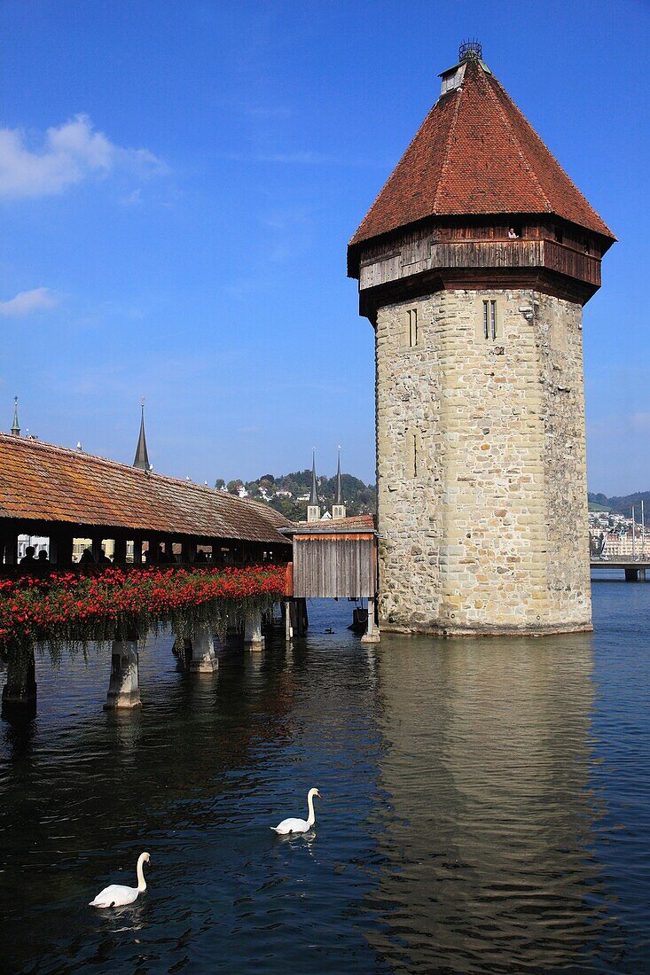 Switzerland, Lucerne, Luzern, Kapellbrücke bridge, Wasserturm tower