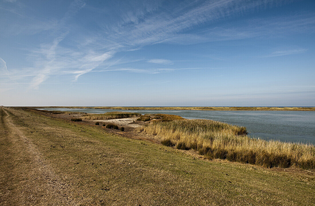 Coastal landscape on Fehmarn, Baltic Sea, Schleswig-Holstein, Germany
