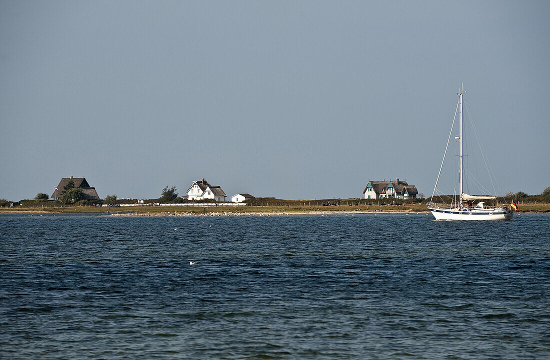 Houses along the beach of Graswarder peninsula, Heiligenhafen, Schleswig-Holstein, Germany