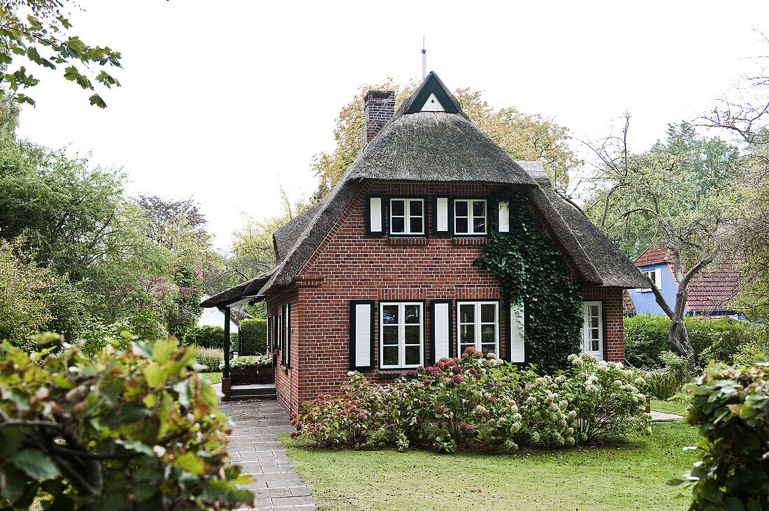 House with reed thatched roof in Hohwacht, Ostsee, Schleswig-Holstein, Germany