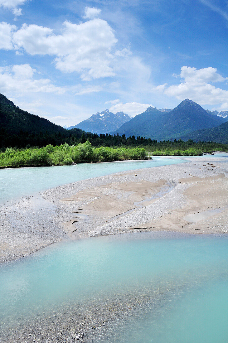 Lech fließt über Kiesbänke in renaturiertem Flussbett mit Lechtaler Alpen im Hintergrund, Lechtal, Tirol, Österreich