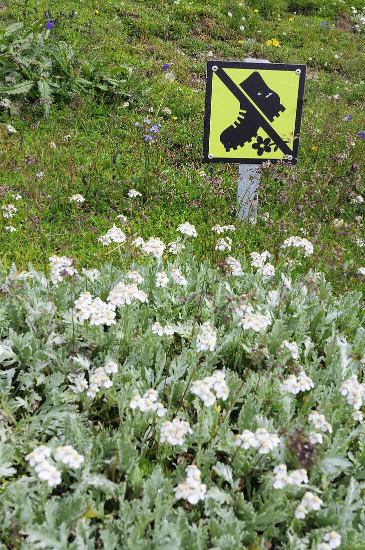 Schild, Wiese nicht betreten, Glocknergruppe, Nationalpark Hohe Tauern, Kärnten, Österreich