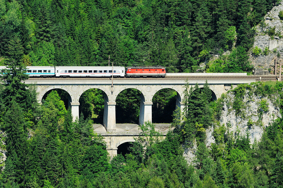 Train passing Kalte Rinn viaduct, Semmering railway, UNESCO World Heritage Site Semmering railway, Lower Austria, Austria