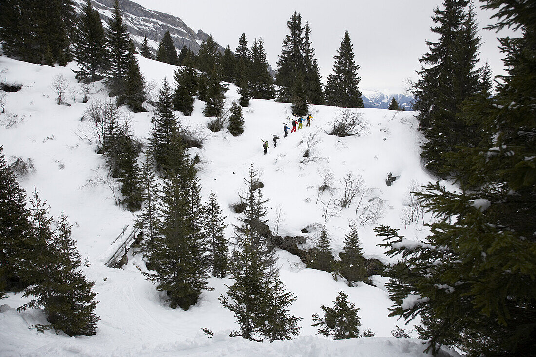 Gruppe Skifahrer beim Aufstieg im Wald, Flims, Kanton Graubünden, Schweiz