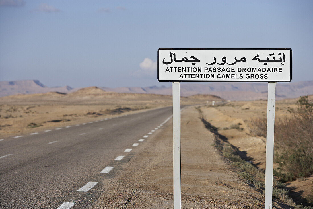 Schild mit Warnung vor Kamelen an einer Strasse, Tunesien, Afrika