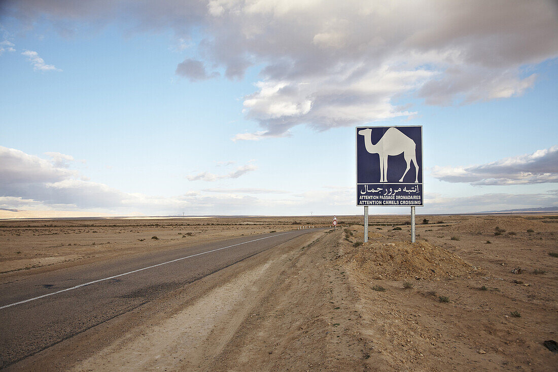 Schild mit Warnung vor Kamelen am Strassenrand in der Wüste, Tunesien, Afrika
