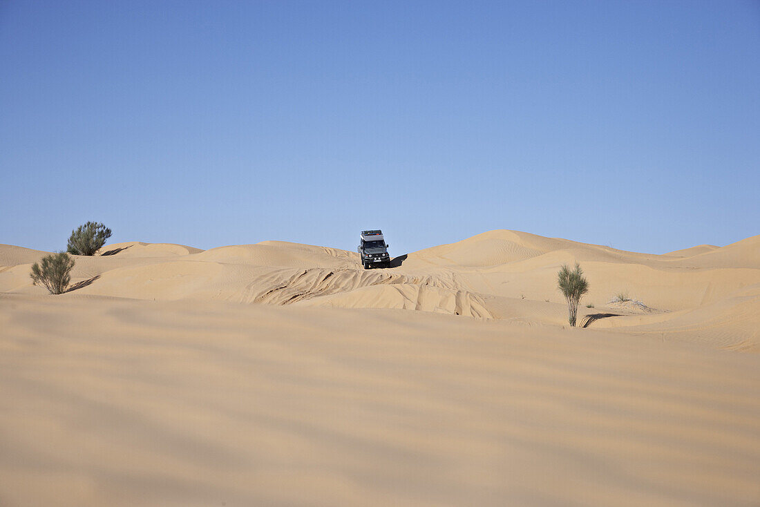 Toyota Landcruiser driving down dune, Chott El Jerid, Tunesia, Africa