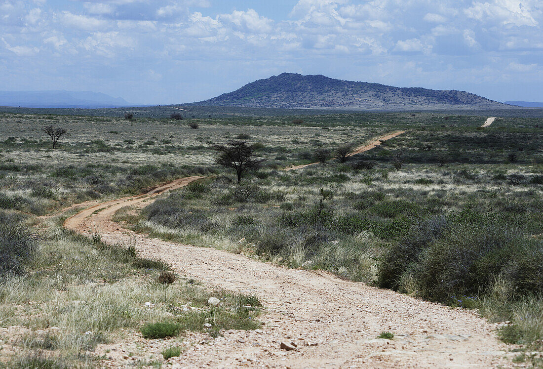 Sandpiste durch Buschland unter Wolkenhimmel, Kenia, Afrika
