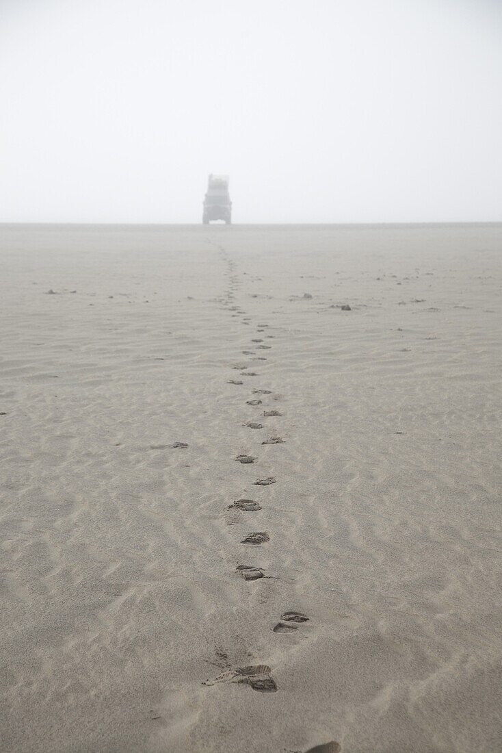 Fußspuren im Nebel führen zum Geländewagen, Skeleton Coast, Namibia, Afrika