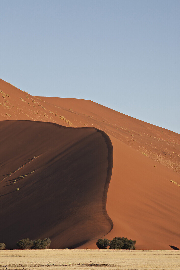 Rote Sanddüne im Namib Naukluft Park, Sossusvlei, Namibia, Afrika