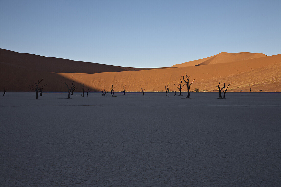 Salt lake with dead trees in front of red sand dune, Namib Naukluft Park, Sossusvlei, Namibia, Africa