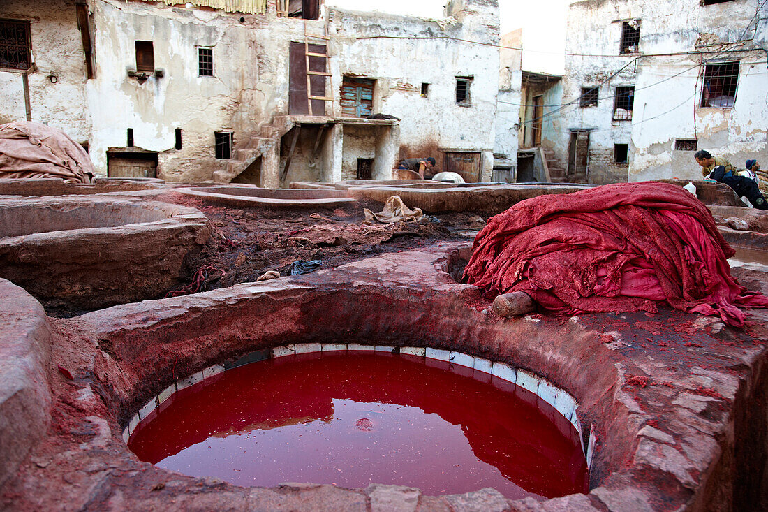 Leather dye works, Fes, Morocco, Africa