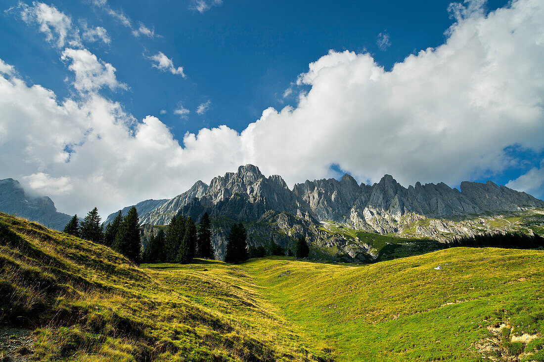 Alpine meadow in the region of Hochkönig, Salzburger Land, Austria