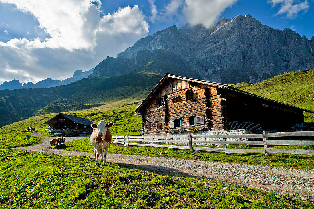 Brandstätt alm hut in the region of Hochkönig, Salzburger Land, Austria