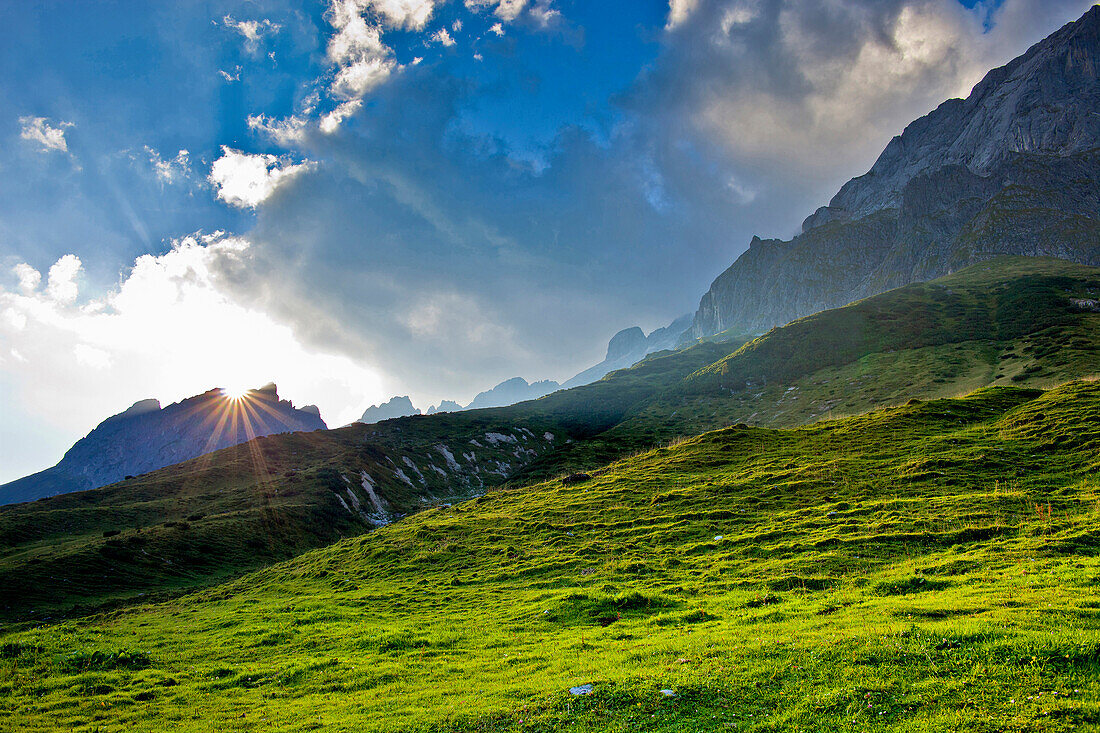 Almwiese, Hochköniggebiet Salzburger Land, Österreich