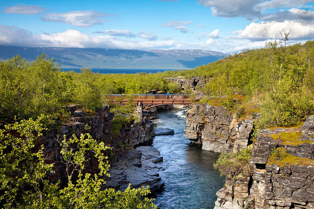 Abisko river canyon, Abisko National Park, Lapland, northern Sweden, Sweden