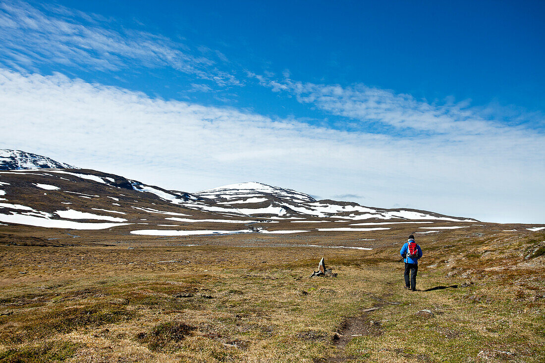 Hiker in the mountains, Lapland, northern Sweden, Sweden