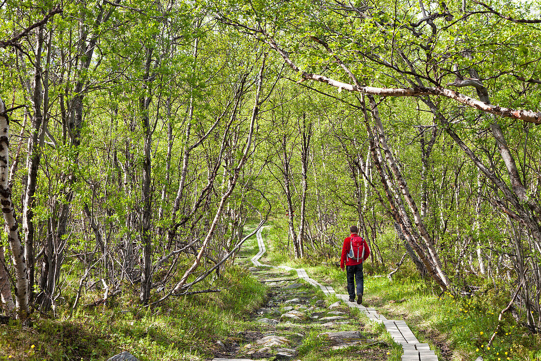 Wanderer auf dem Kungsleden, Abisko Nationalpark, Lappland, Nordschweden, Schweden