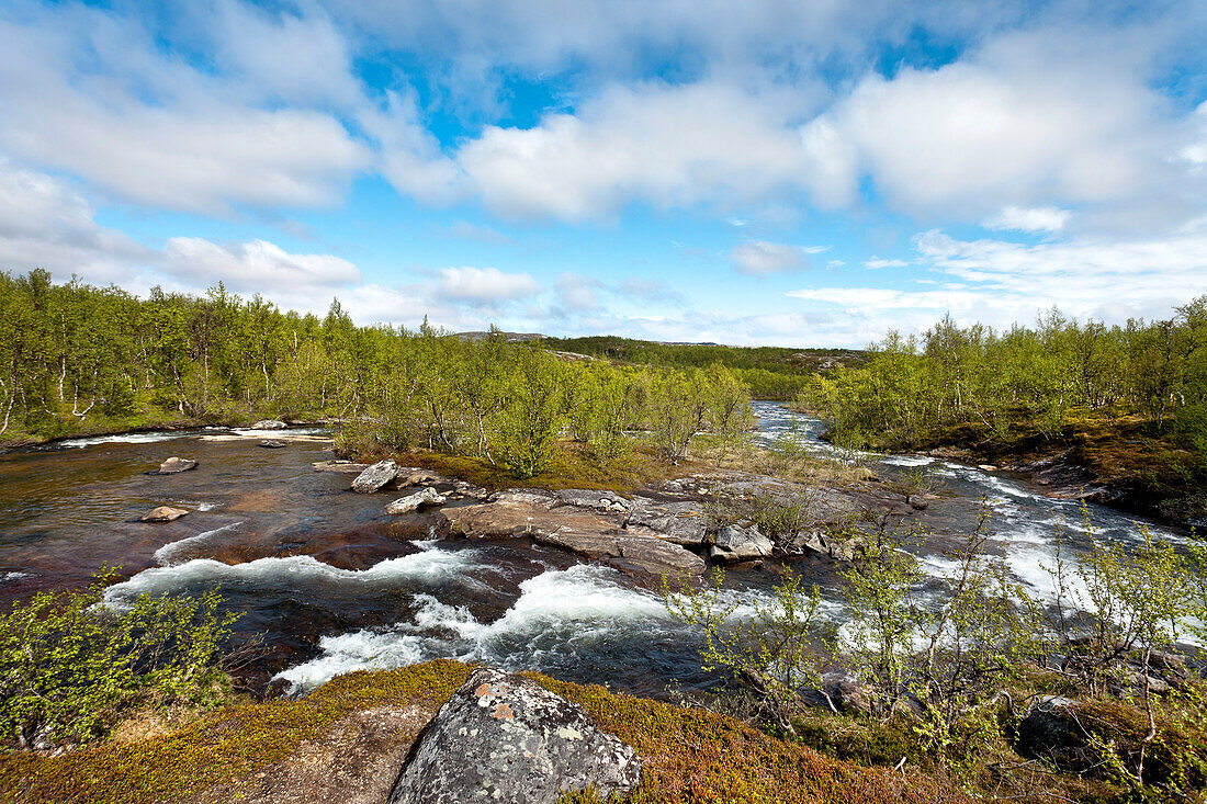 Fluß bei Lakktajåkko, Lappland, Nordschweden, Schweden