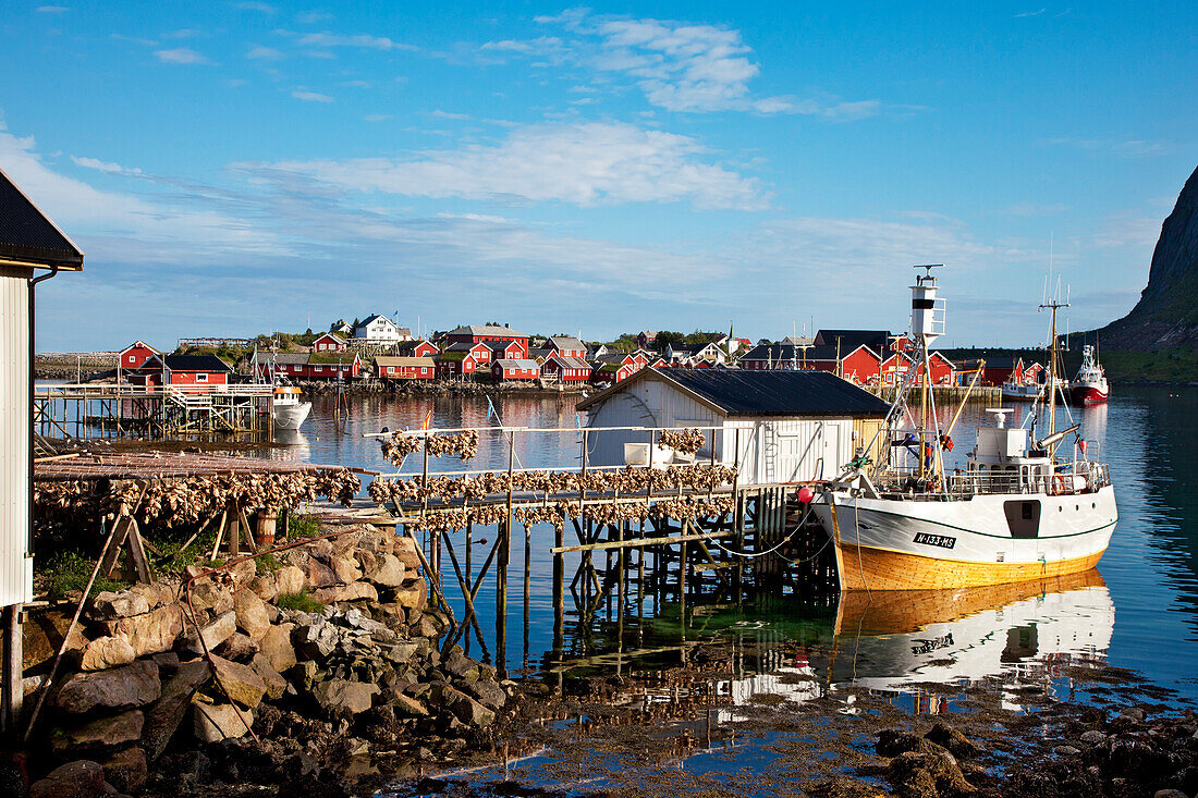 Trockenfisch, Reine, Moskenesøya, Lofoten, Nordnorwegen, Norwegen