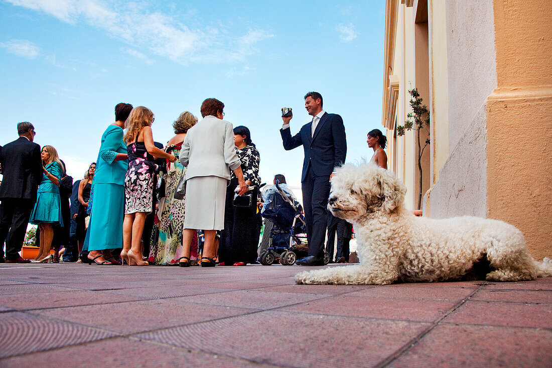Hund und Hochzeitsgesellschaft vor der Kirche San Vincenzo, Piazza San Vincenzo, Stromboli, Liparische Inseln, Sizilien, Italien