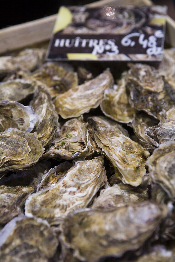 Oysters for sale at market stand, St. Malo, Brittany, France, Europe