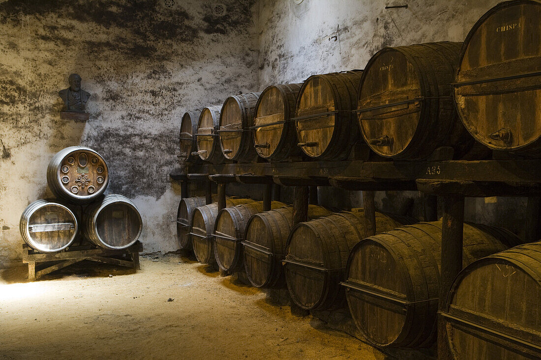 Fässer mit Sherry im Weingut Bodega Tio Pepe Gonzales Byass, Jerez de la Frontera, Andalusien, Spanien, Europa