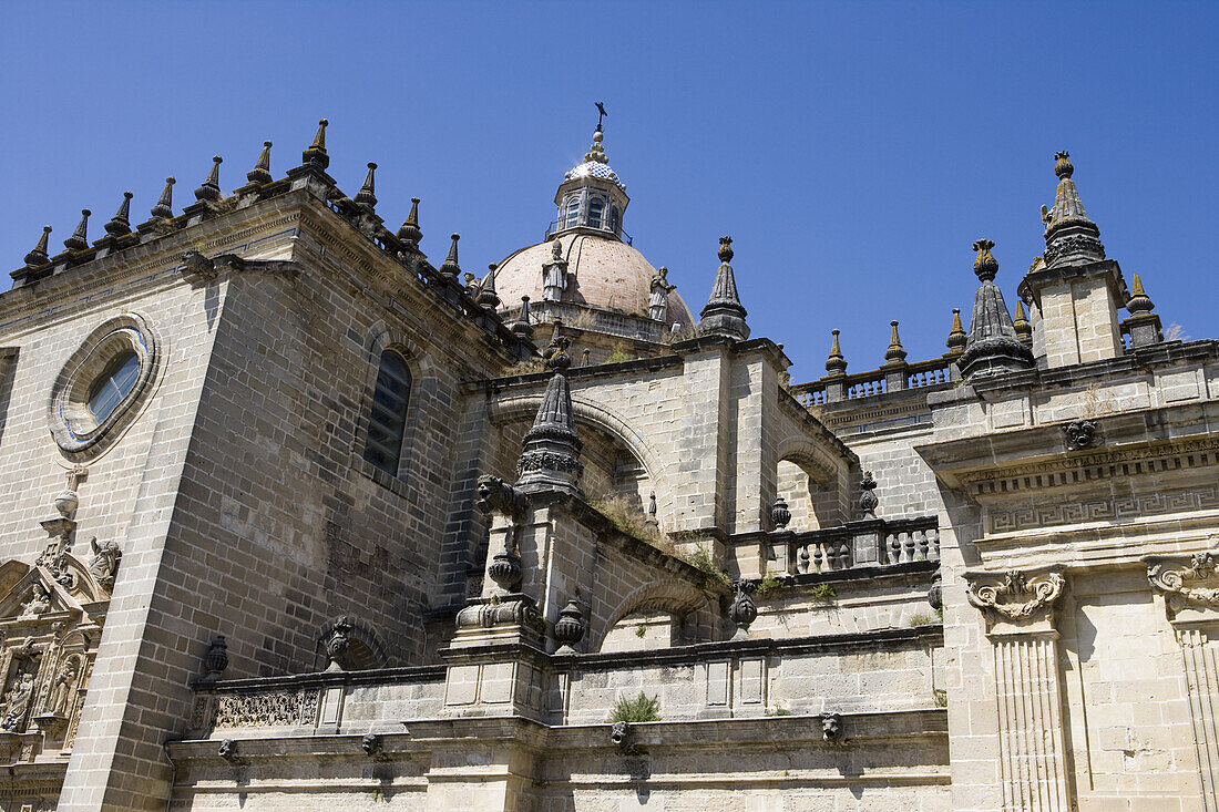 Kathedrale unter blauem Himmel, Jerez de la Frontera, Andalusien, Spanien, Europa