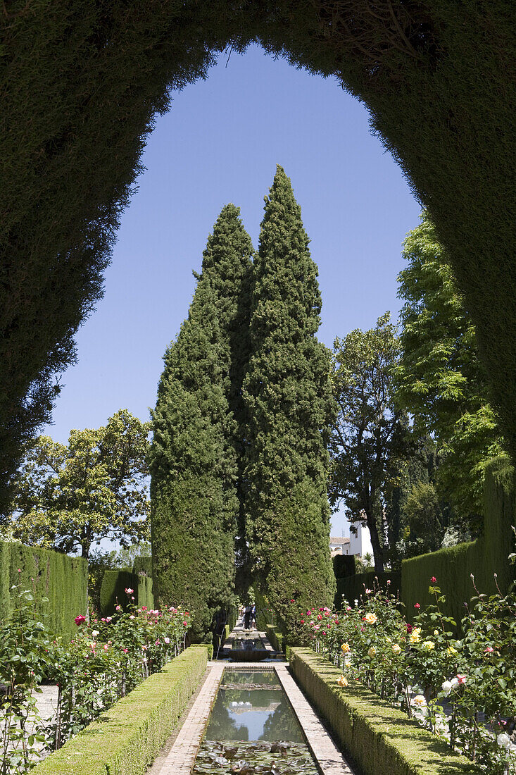 Gardens of Alhambra Palace in the sunlight, Granada, Andalucia, Spain, Europe