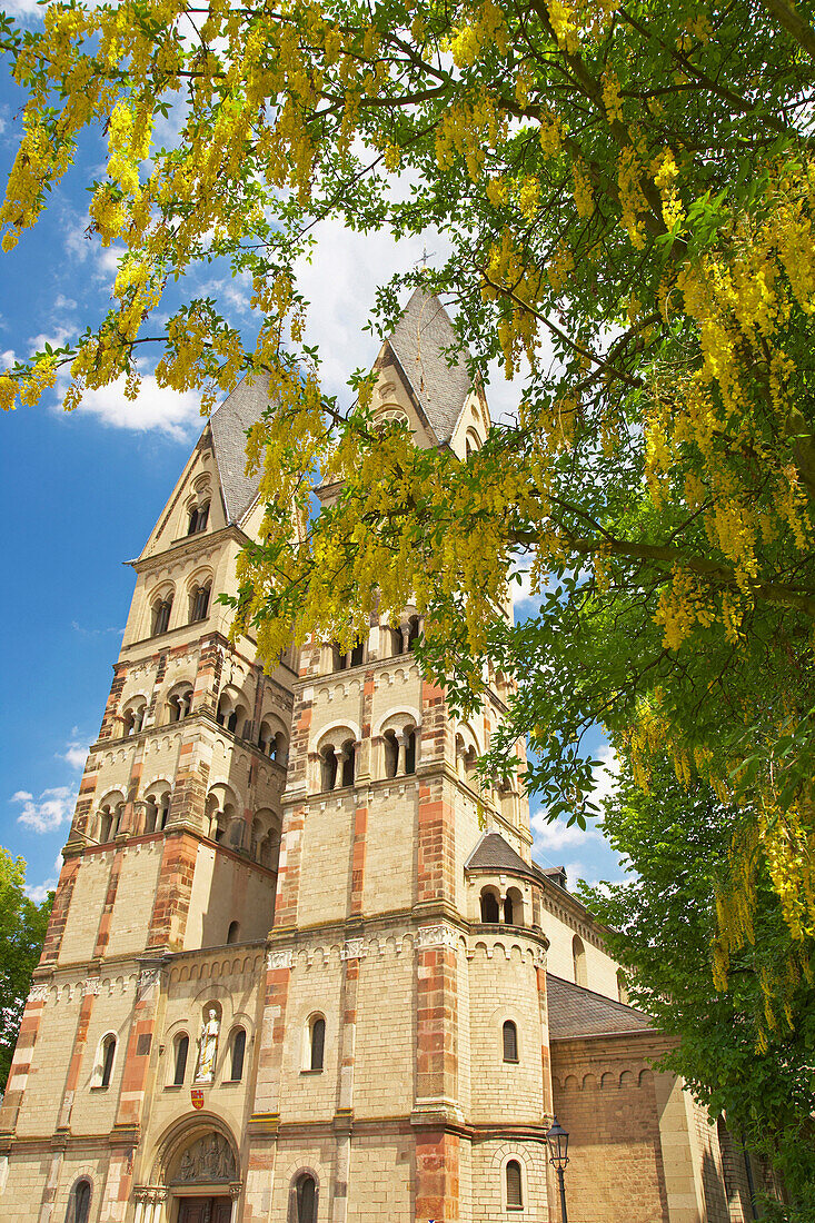 Basilica St. Kastor, Koblenz, Rhineland-Palatinate, Germany