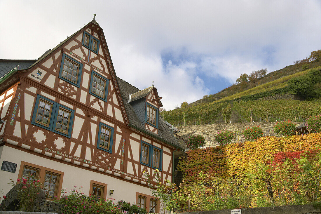Old Town in Bacharach, Cultural Heritage of the World: Oberes Mittelrheintal (since 2002), Mittelrhein, Rhineland-Palatinate, Germany, Europe